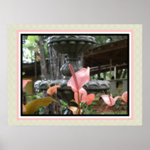 Flor tropical Anturio Rosado Posters