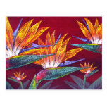 Flor tropical de las aves del paraíso - multi tarjeta postal