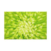 Flor verde del crisantemo en lona impresión en lona
