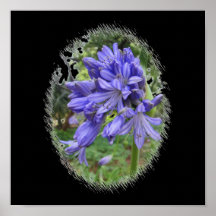Flor violeta posters