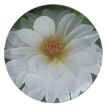 Flor y significado de la dalia platos de comidas