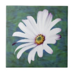 Flor y significado de la margarita azulejo ceramica