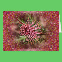 Flora australiana tarjetas