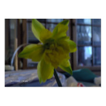 flora buetiful tarjetas de negocio