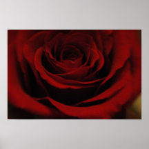 floración 11 x 18 poster