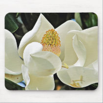 floración de la magnolia alfombrillas de raton 