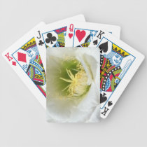 Floración del cactus de Arizona de Ana Finster cartas de juego