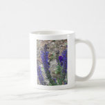 Floración del ~ de Salvia primera Tazas
