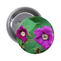 floración rosada pins