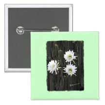 Floraciones blancas del cactus pins