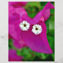 Floraciones blancas minúsculas en medio de los pét tarjeta publicitaria