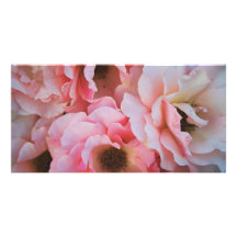 Floraciones color de rosa rosadas apacibles - foto tarjeta con foto personalizada