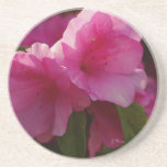 Floraciones de la azalea en el práctico de costa posavasos manualidades
