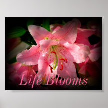 Floraciones de la vida impresiones