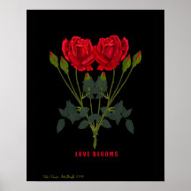 FLORACIONES DEL AMOR POSTER