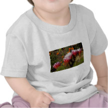 Floraciones del cactus camisetas