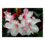Floraciones del cumpleaños tarjetón