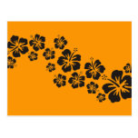 floraciones del hibisco en naranja del negro el | postales
