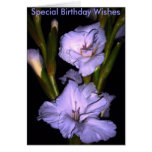floraciones, deseos especiales del cumpleaños felicitación