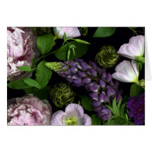 Floraciones púrpuras de un primero de mayo tarjeta