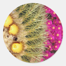 Floraciones RSVP del cactus de barril que casa al 