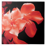 floral azulejo cerámica