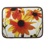 floral organizador