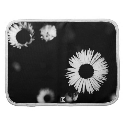 floral organizador