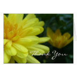 Floral gracias cardar felicitacion 