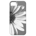 floral iPhone 5 coberturas