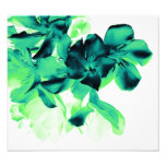 floral impresiones fotográficas