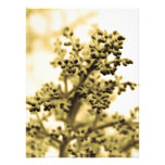 floral cojinete