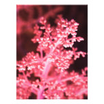 floral fotos