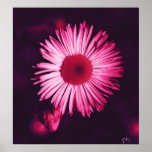 floral poster