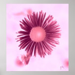 floral poster