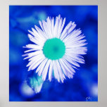 floral posters