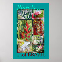"Floral poster de la bella arte del Brasil"