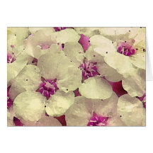 Florales blancos y rosados le agradecen tarjetón
