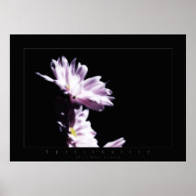 florece espiritualidad poster