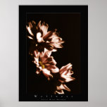 florece salud posters