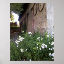 Flores a lo largo de un edificio viejo impresiones
