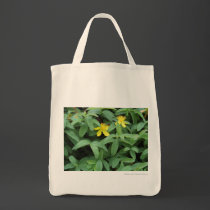 Flores amarillas bolsas