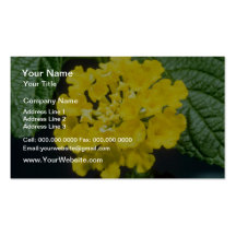 flores amarillas del camara del Lantana Plantillas De Tarjeta De Negocio