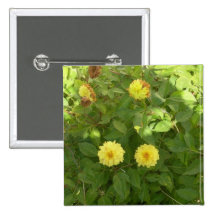 Flores amarillas pins