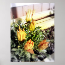 flores amarillos y anaranjados cerrados posters