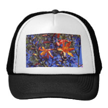Flores anaranjadas de Crocosmia Gorras