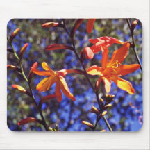 Flores anaranjadas de Crocosmia Tapete De Raton