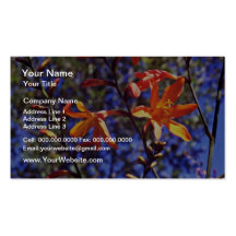 Flores anaranjadas de Crocosmia Tarjetas Personales