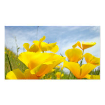 Flores anaranjadas de encargo de la amapola de las