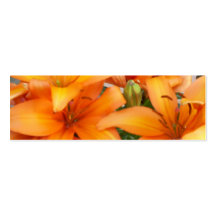 Flores anaranjadas del lirio plantillas de tarjeta de negocio